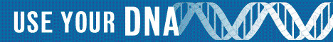 Ast International Market America 